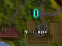 Rimmington