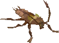 Cockroach Worker