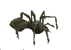 Corpse spider