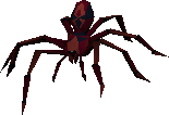 Deadly Red Spider