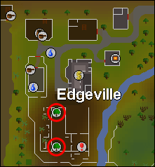 edgeville_yews.png