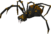 Fever Spider