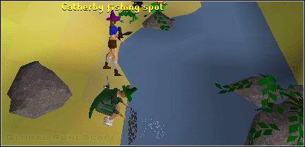 Fishing Training Guide - Global RuneScape