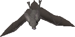 Giant Bat