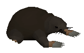 Giant Mole