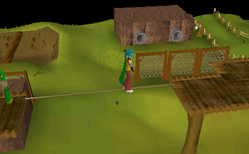 Gnome Stronghold Agility Course