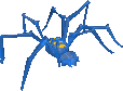 Ice Spider