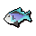 Raw rainbow fish