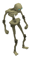 Skeleton