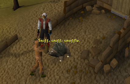 Enquanto Guthix Dorme - RuneScape Wiki